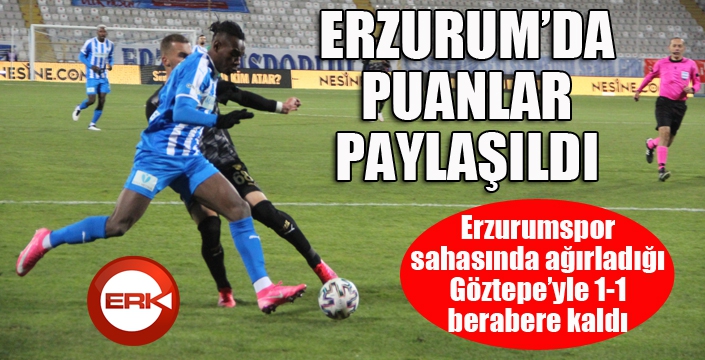 Erzurumspor kendi evinde 3 puana hasret...