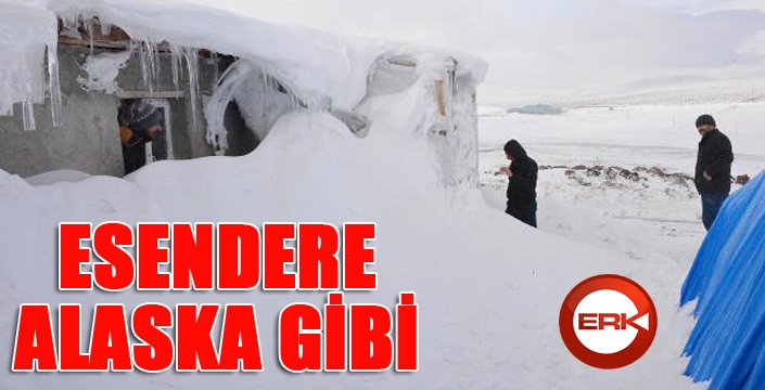 Esendere, Alaska gibi...