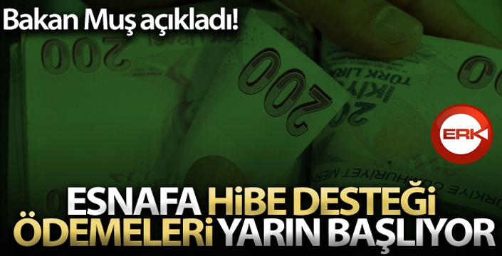 Esnafa hibe desteği ödemeleri yarın başlıyor