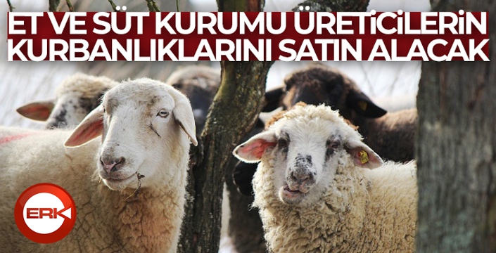 Et ve Süt Kurumu, üreticilerin kurbanlıklarını satın alacak