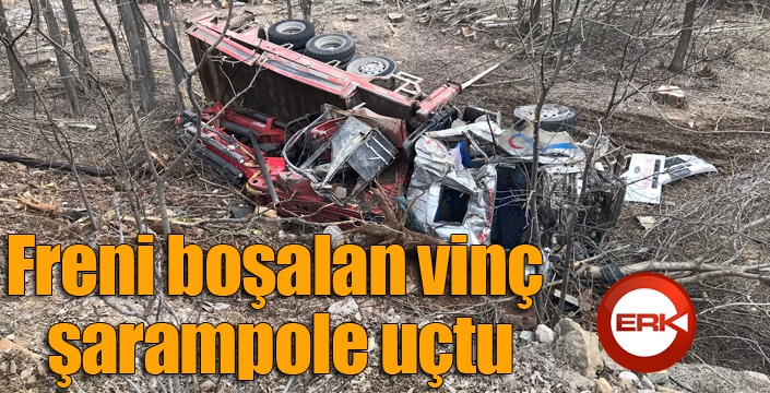 Freni boşalan vinç şarampole uçtu