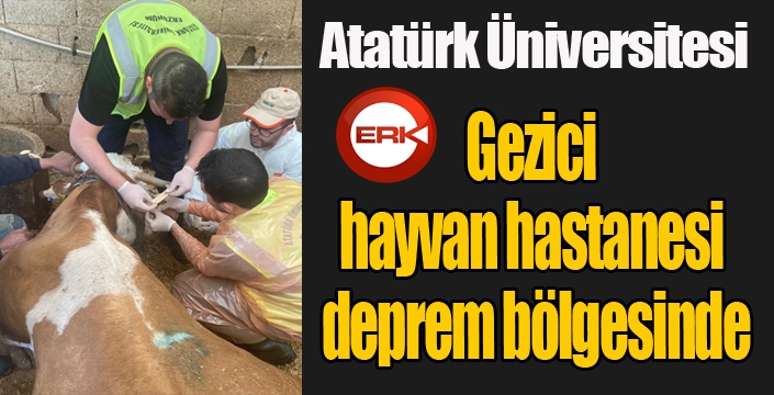 Gezici hayvan hastanesi deprem bölgesinde