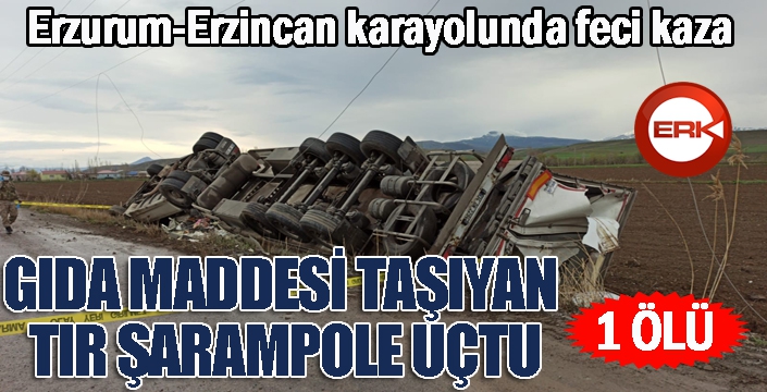 Gıda maddesi taşıyan TIR şarampole uçtu: 1 ölü