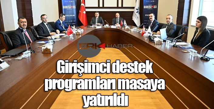 Girişimci destek programları masaya yatırıldı