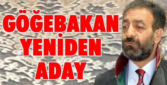 Göğebakan yeniden aday 