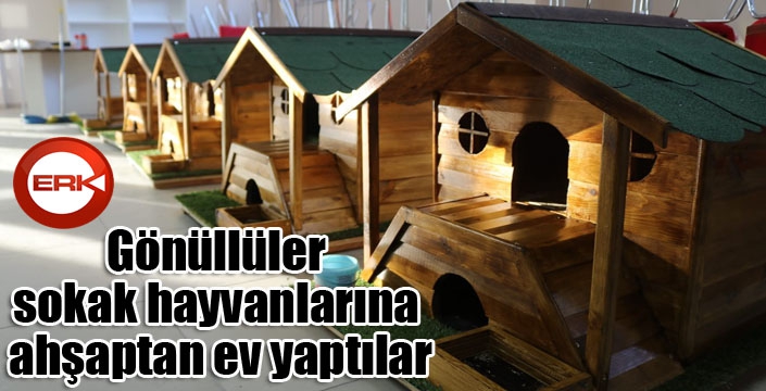 Gönüllüler sokak hayvanlarına ahşaptan ev yaptılar