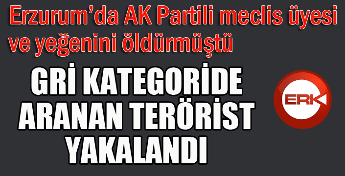 Gri kategoride aranan terörist yakalandı