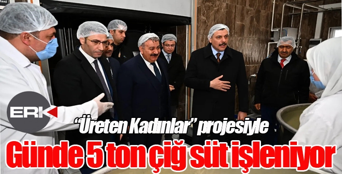 Günde 5 ton çiğ süt işleniyor