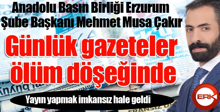 Günlük gazeteler ölüm döşeğinde