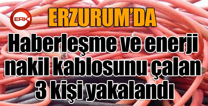 Haberleşme ve enerji nakil kablosunu çalan 3 kişi yakalandı