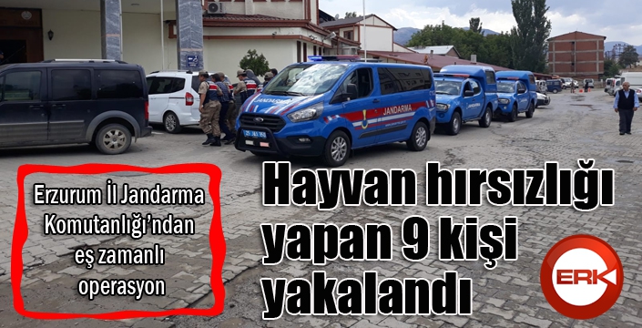 Hayvan hırsızlığı yapan 9 kişi yakalandı