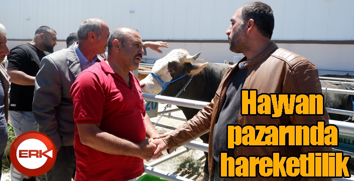 Hayvan pazarında hareketlilik