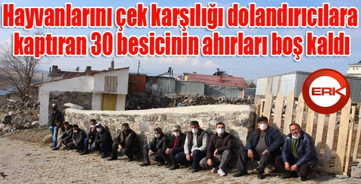 Hayvanlarını çek karşılığı dolandırıcılara kaptıran 30 besicinin ahırları boş kaldı