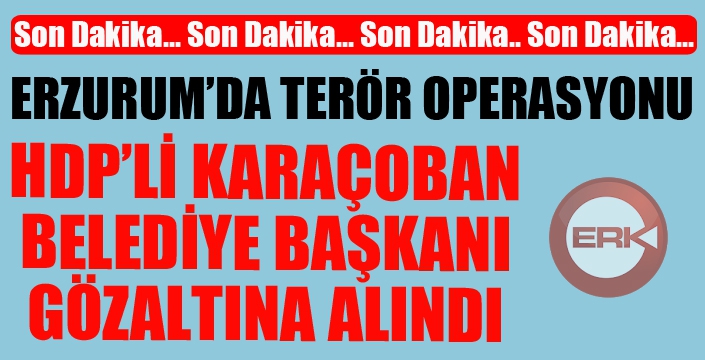 HDP'li Karaçoban Belediye Başkanı ve şoförü gözaltına alındı...