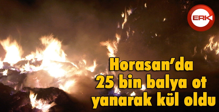 Horasan’da 25 bin balya ot yanarak kül oldu