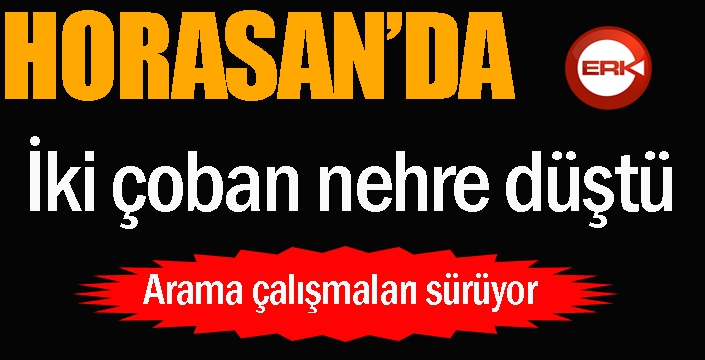 Horasan'da iki çoban nehre düştü