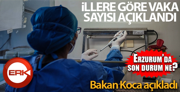 İllere göre vaka sayısı açıklandı