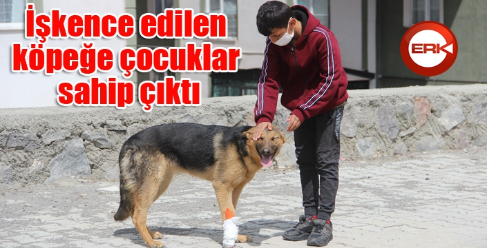 İşkence edilen köpeğe çocuklar sahip çıktı