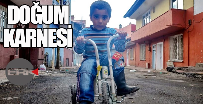 İşte Erzurum’daki doğum karnesi