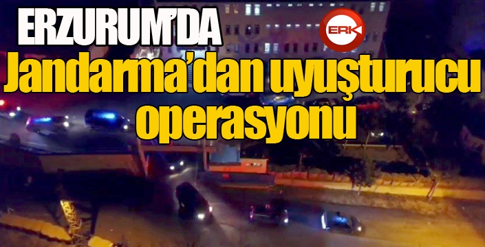 Jandarma’dan uyuşturucu operasyonu