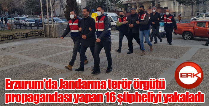 Jandarma terör örgütü propagandası yapan 16 şüpheliyi yakaladı