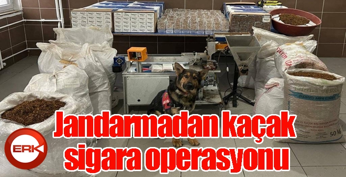 Jandarmadan kaçak sigara operasyonu