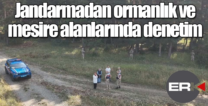 Jandarmadan mesire ve ormanlık alanlarda denetim...