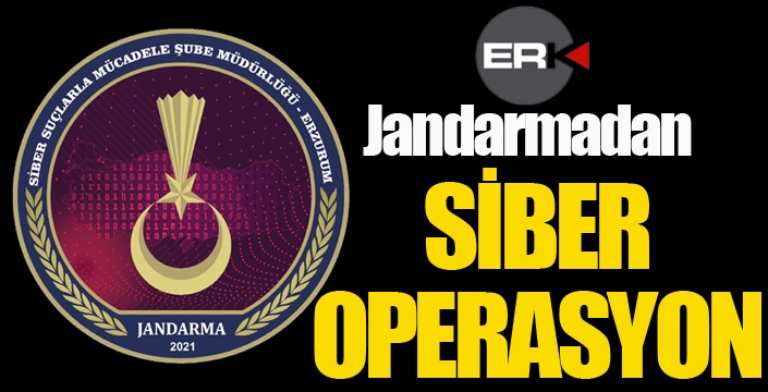 Jandarmadan siber operasyon