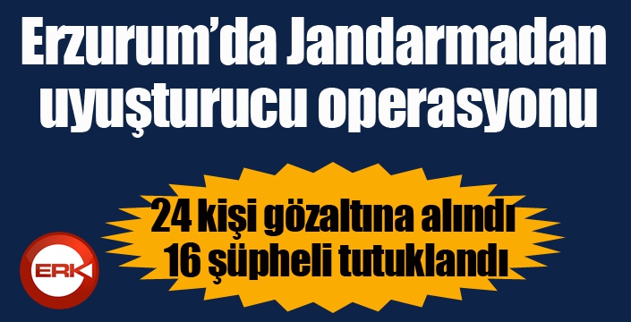 Jandarmadan uyuşturucu operasyonu