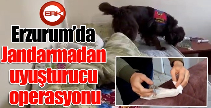 Jandarmadan uyuşturucu operasyonu