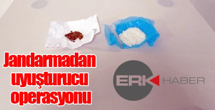 Jandarmadan uyuşturucu operasyonu