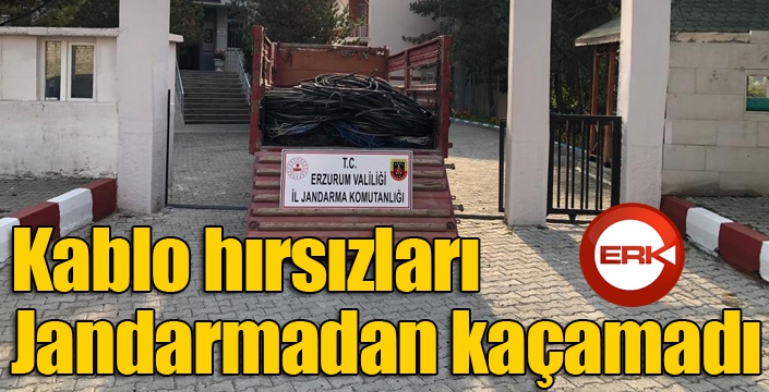 Kablo hırsızları Jandarmadan kaçamadı