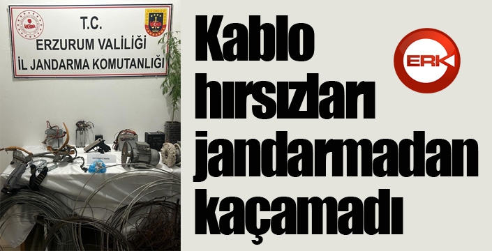 Kablo hırsızları jandarmadan kaçamadı