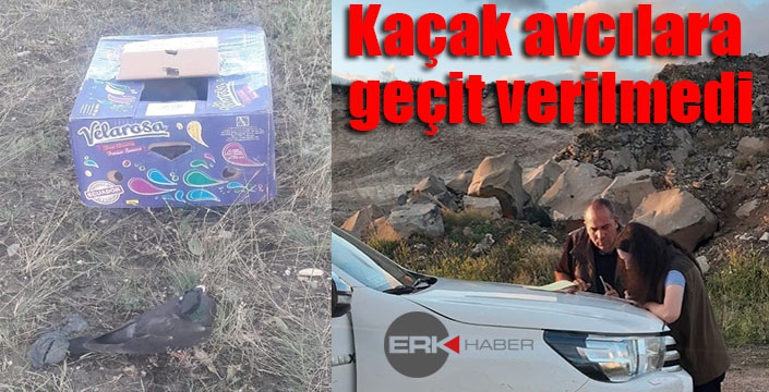 Kaçak avcılara geçit verilmedi