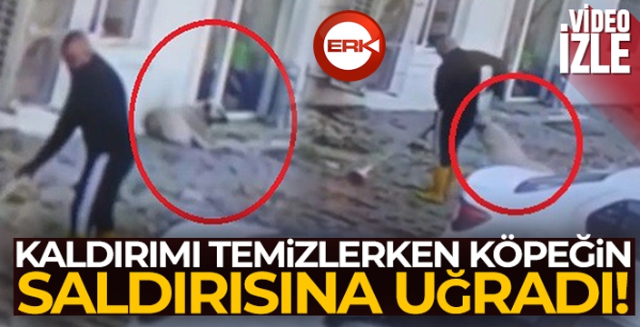 Kaldırımı temizlerken köpeğin saldırısına uğradı