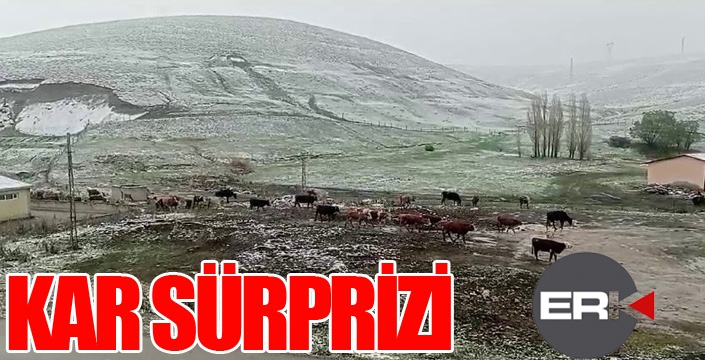 Kar sürprizi...