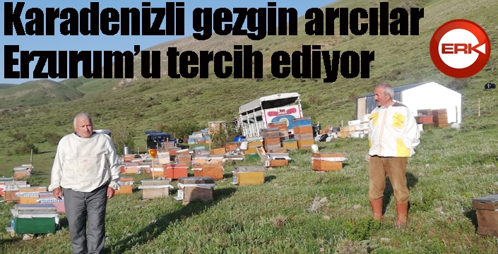 Karadenizli gezgin arıcılar Erzurum’u tercih ediyor