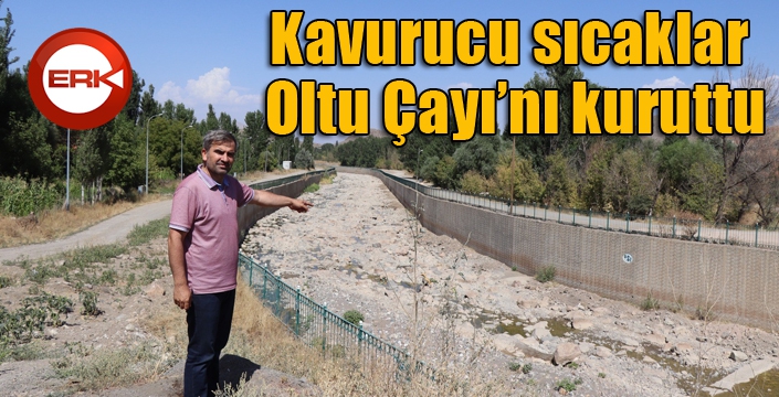 Kavurucu sıcaklar Oltu Çayı’nı kuruttu