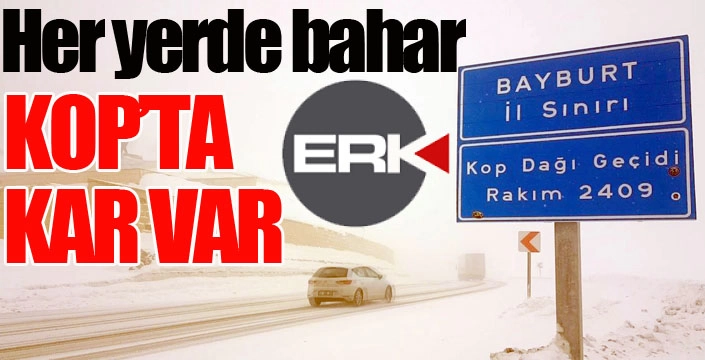 Kop Dağında mayıs ayında kar yağışı