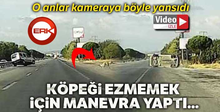 Köpeği ezmemek için takla attı, o anlar kamerada