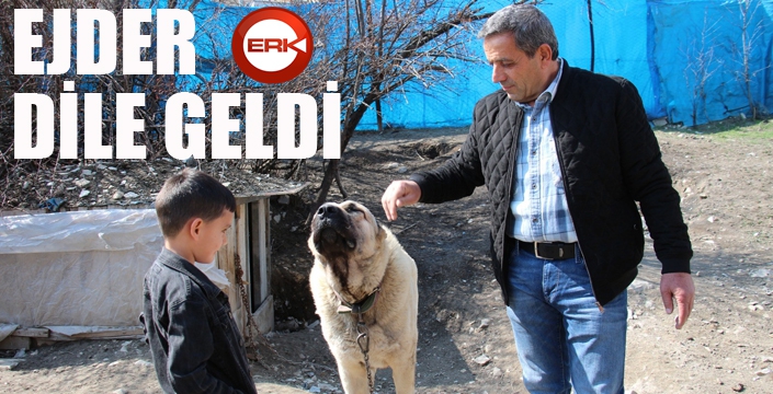 Köpek dile geldi; “Benim adım Ejder”