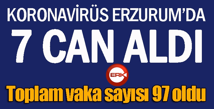 Koronavirüs Erzurum'da 7 can aldı... 