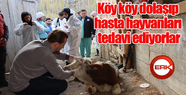 Köy köy dolaşıp hasta hayvanları tedavi ediyorlar