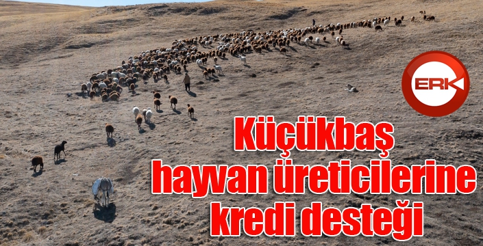 Küçükbaş hayvan üreticilerine kredi desteği