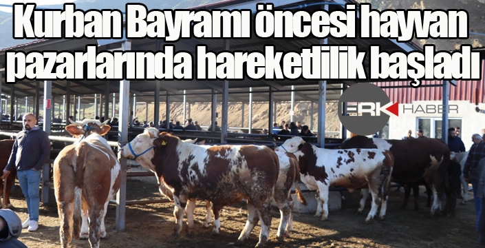 Kurban Bayramı öncesi hayvan pazarlarında hareketlilik başladı