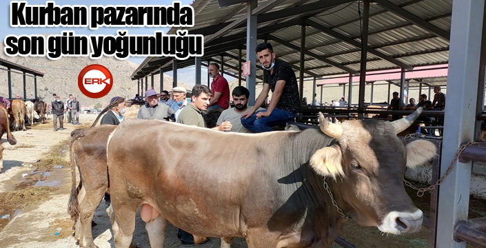 Kurban pazarında son gün yoğunluğu