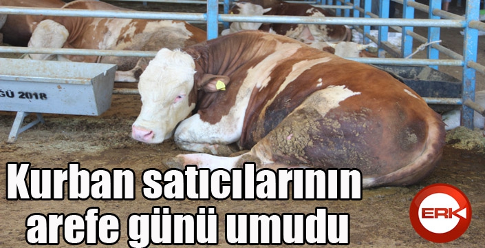 Kurban satıcılarının arefe günü umudu