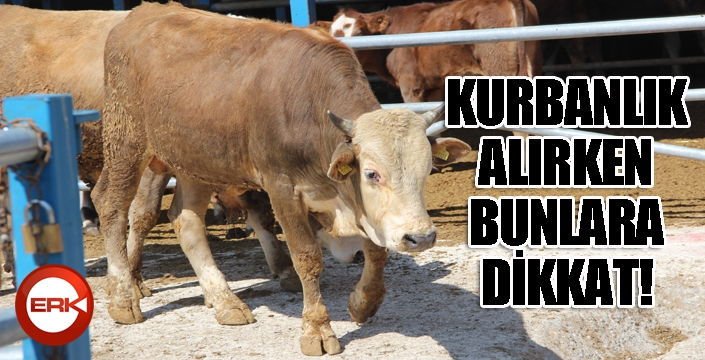 Kurbanlık alırken dikkat edilmesi gerekenler