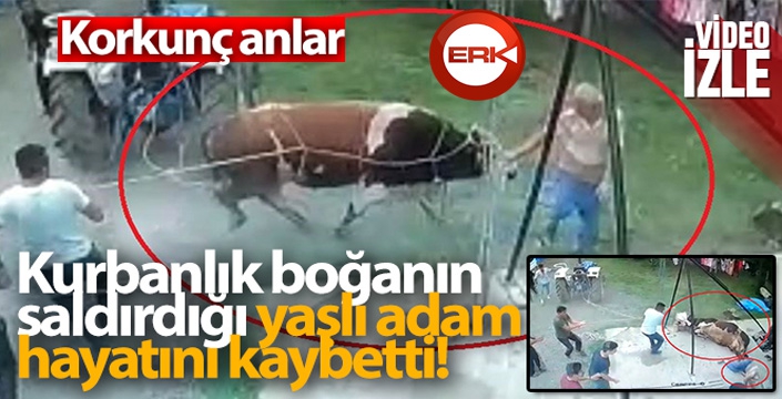 Kurbanlık boğanın saldırdığı yaşlı adam hayatını kaybetti