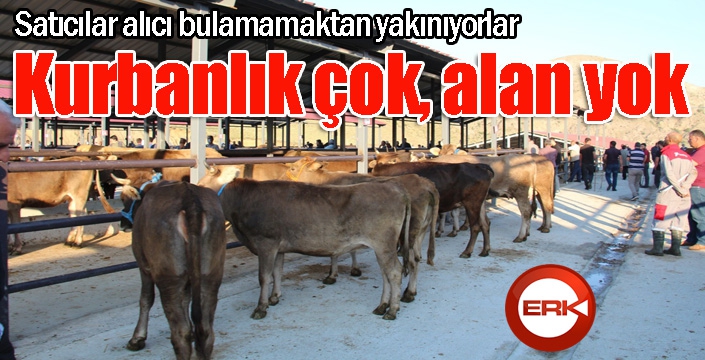 Kurbanlık çok, alan yok